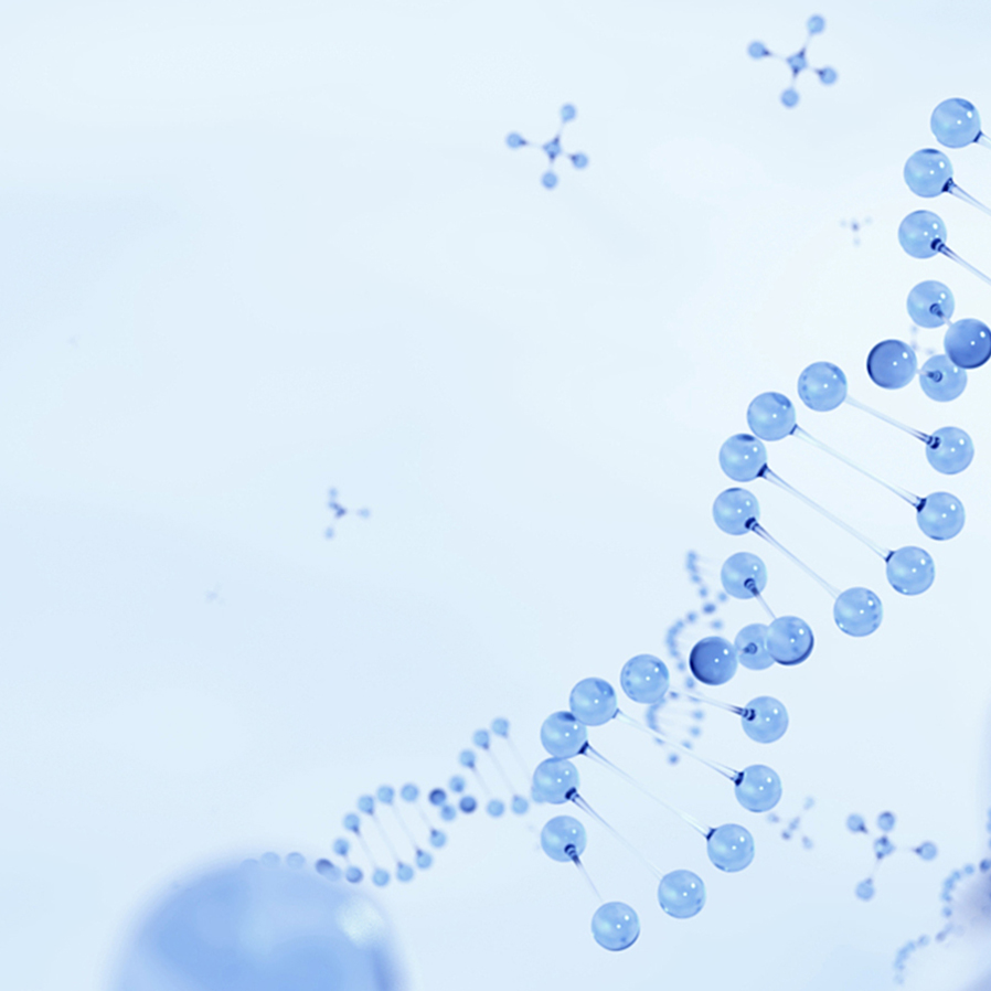 z6com×ðÁú¿-(Öйú)¹«Ë¾¹Ù·½ÍøÕ¾